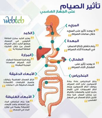 تاثير الصيام علي الجهاز الهضمي 