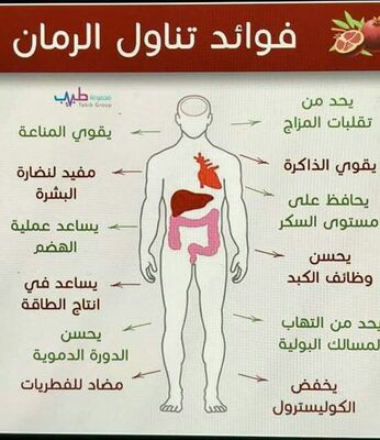 فوائد تناول الرمان